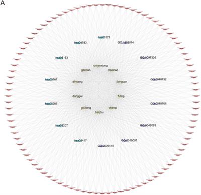 Discovery of key biomarkers in tourette syndrome by network pharmacology